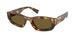 14L09Z - Tortoise - Dark Brown