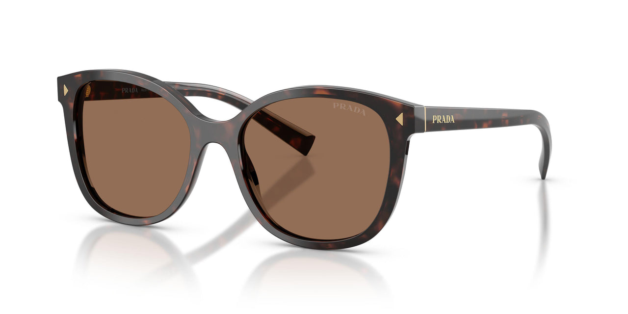 17N06B - Tortoise - Dark Brown