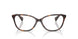 5003 - Tortoise