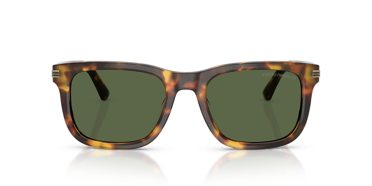 599371 - Brown - Dark Green