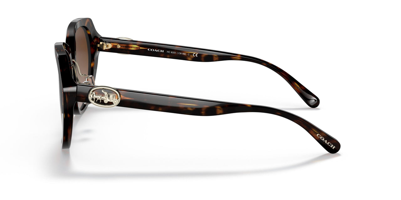 512013 - Havana - Brown Gradient