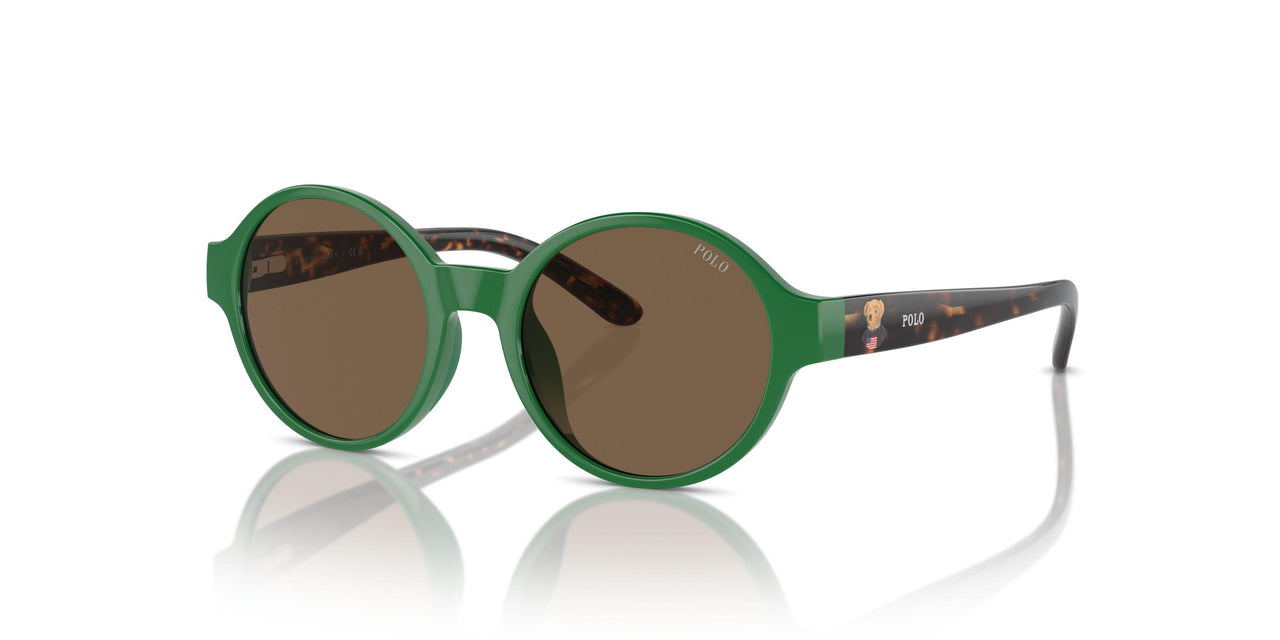 619273 - Green - Brown