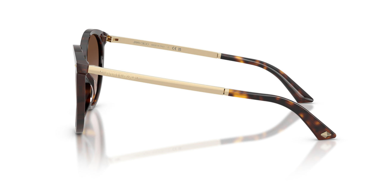 500213 - Tortoise - Gradient Brown