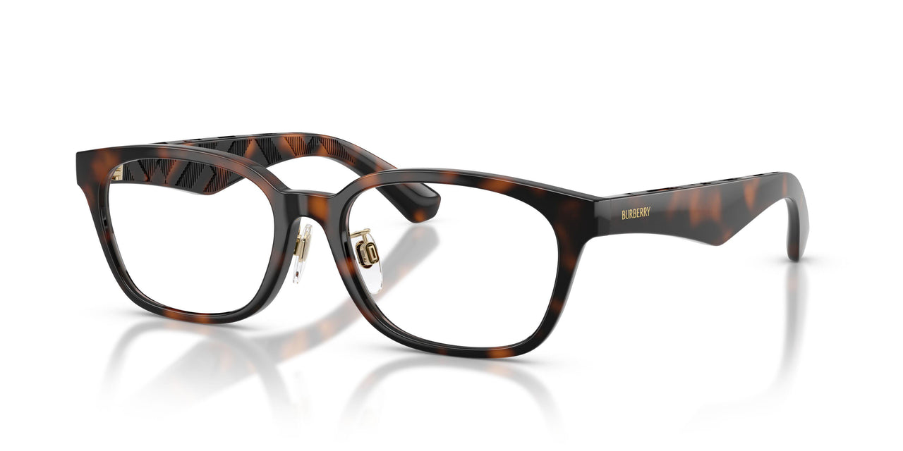 3002 - Brown