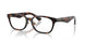 3002 - Brown