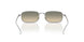 5036Z1 - Silver - Enoki Gradient Wash To Dark