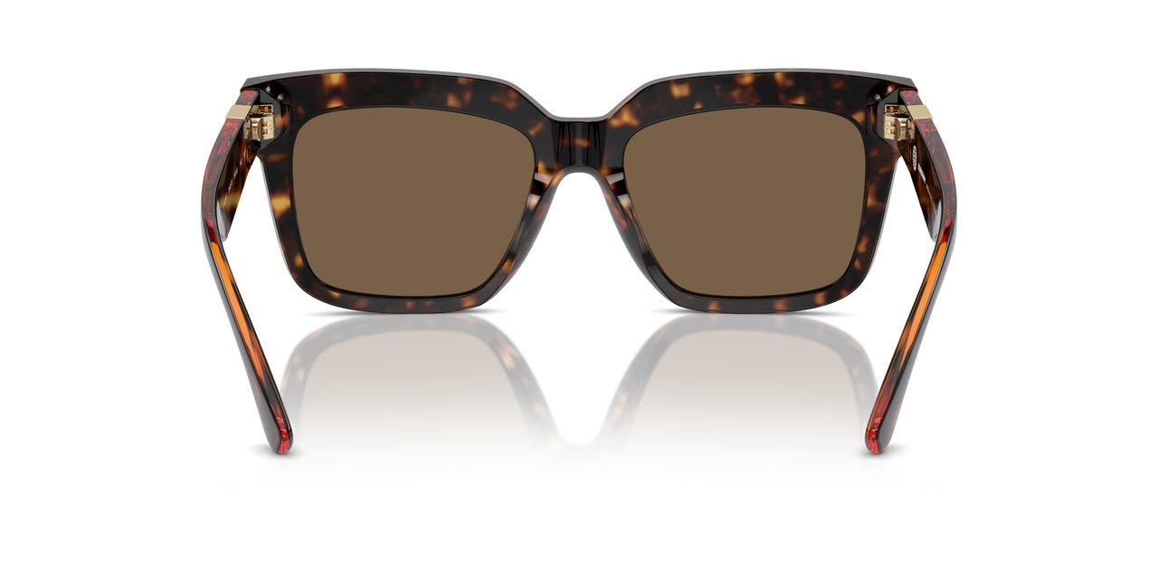 300273 - Brown - Dark Brown
