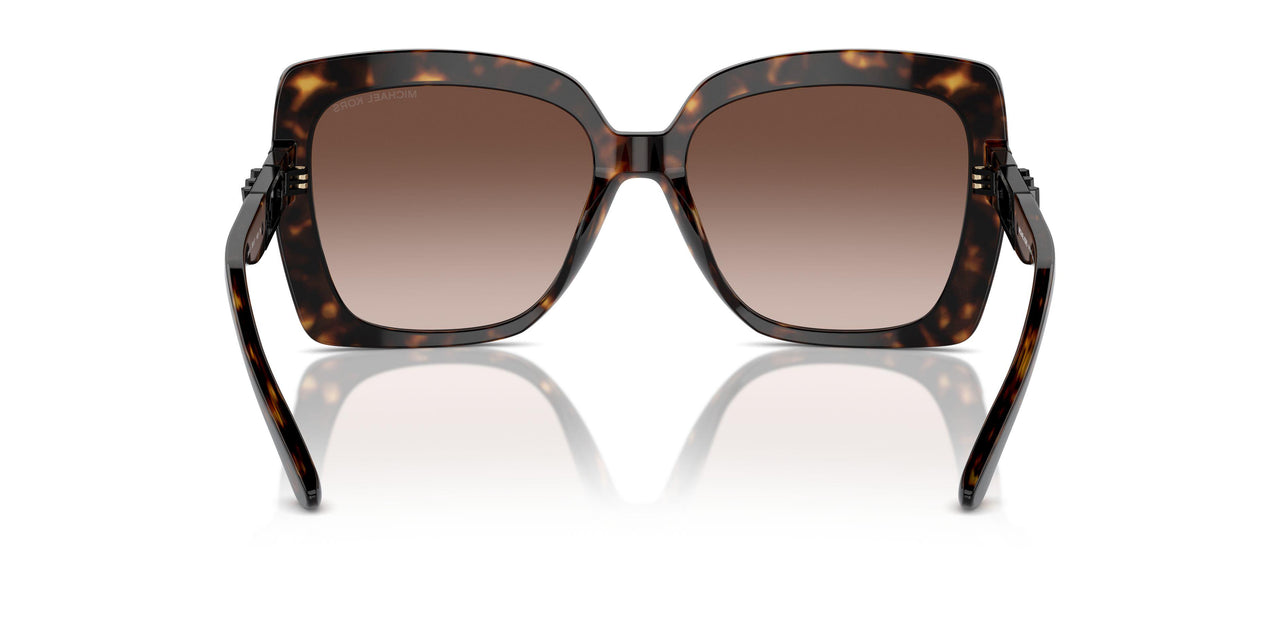 300613 - Tortoise - Brown Gradient