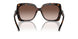 300613 - Tortoise - Brown Gradient