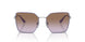 518368 - Violet - Violet Gradient Brown