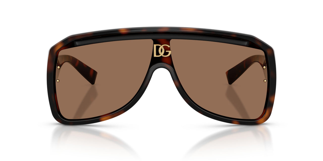 502/73 - Tortoise - Dark Brown