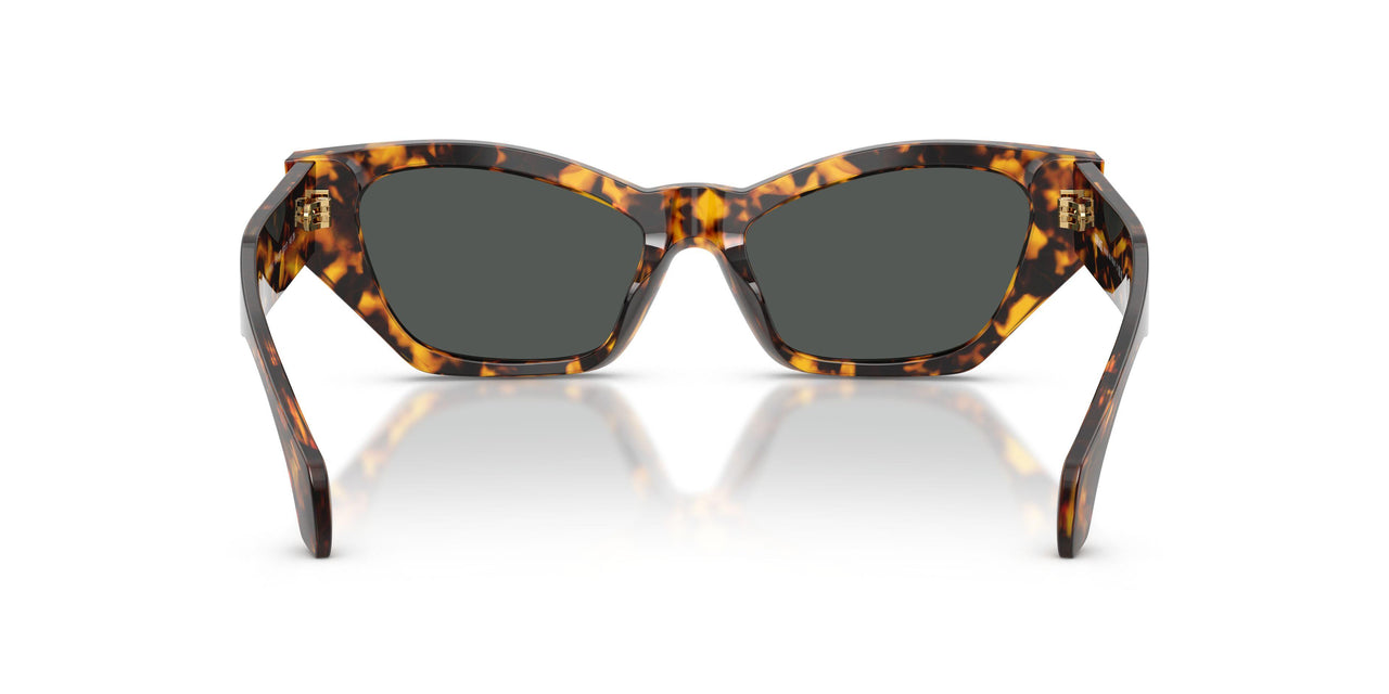551487 - Tortoise - Dark Grey