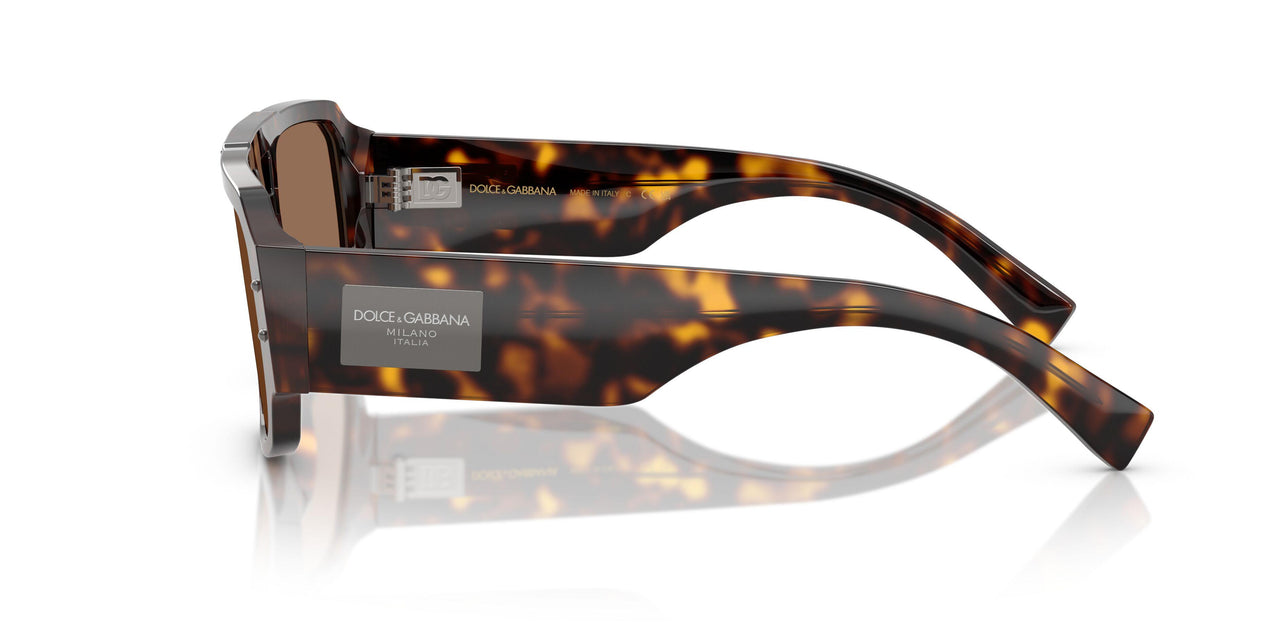 502/73 - Tortoise - Dark Brown
