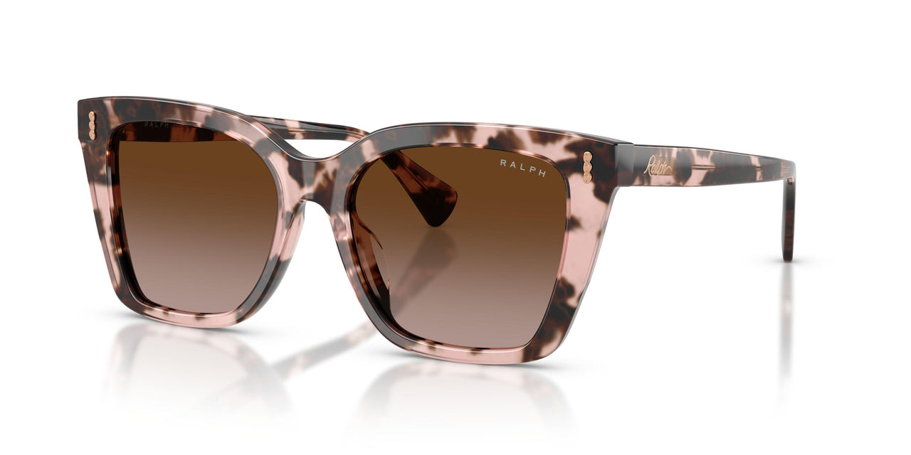 605813 - Tortoise - Gradient Brown