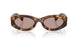 14L20I - Tortoise - Light Purple Brown
