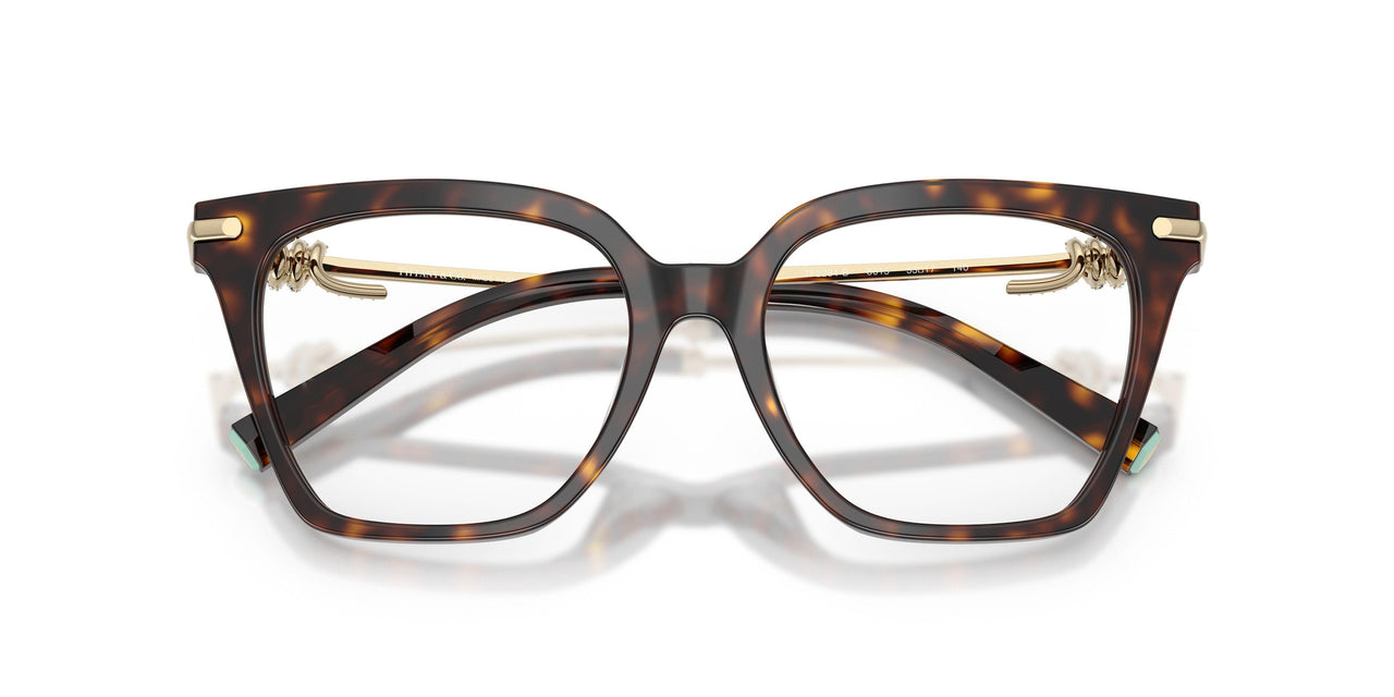 8015 - Tortoise