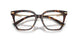 8015 - Tortoise