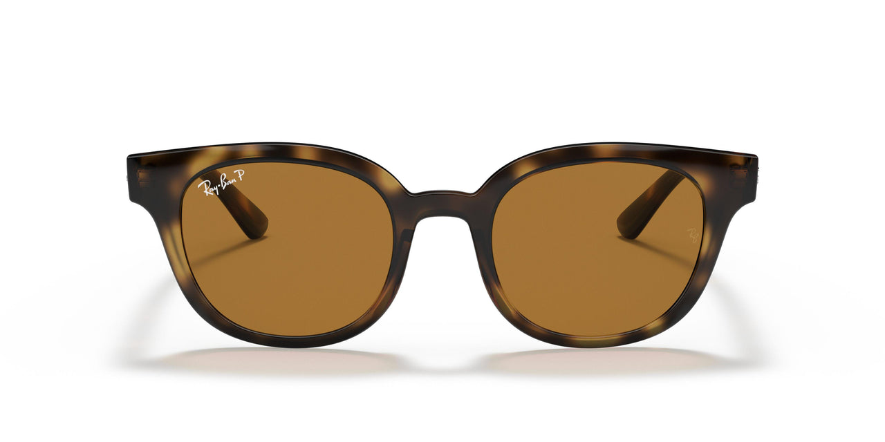 647551 - Yellow Light Havana - Clear Gradient Brown