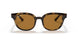 647551 - Yellow Light Havana - Clear Gradient Brown