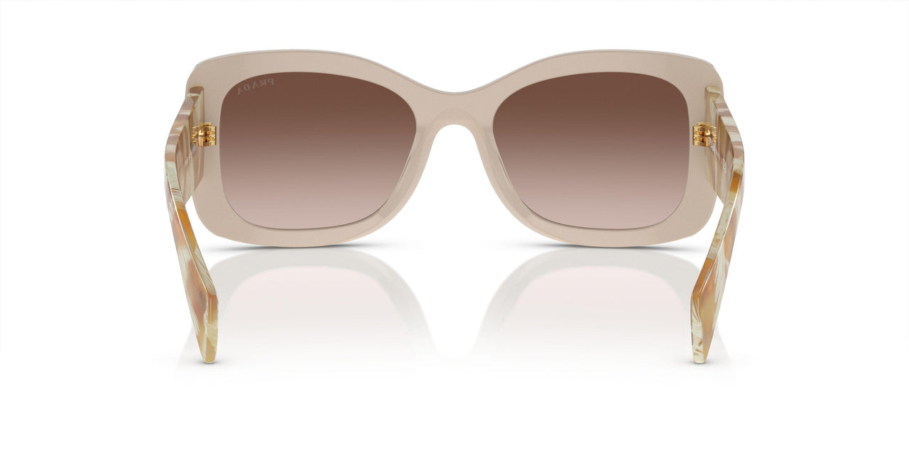 11O6S1 - Brown - Brown Gradient