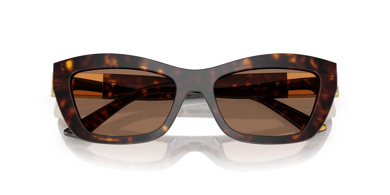 500273 - Tortoise - Dark Brown