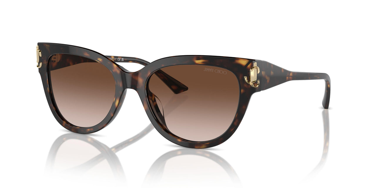500213 - Tortoise - Gradient Brown