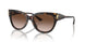 500213 - Tortoise - Gradient Brown