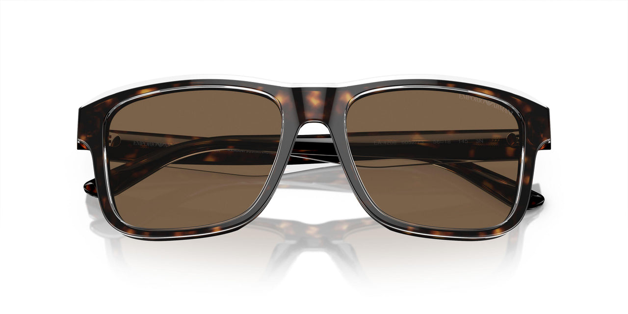 605273 - Tortoise - Dark Brown