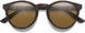 207810N9P52XC - Chromapop Brown