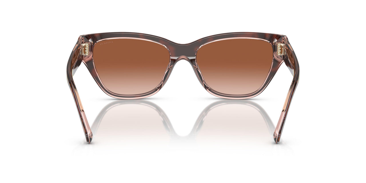 574413 - Tortoise - Brown Pink Gradient