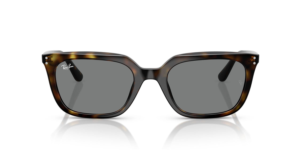 710/87 - Tortoise - Dark Grey