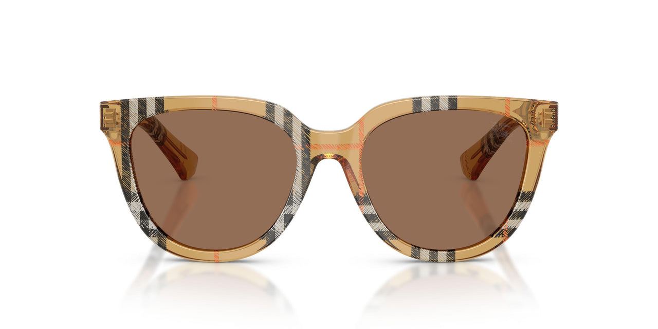 416373 - Brown - Dark Brown