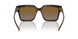 W656T5 - Brown - Gradient Brown Polarized