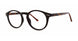 BLCKTRTS - Black/Tortoise