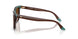 631813 - Brown - Brown Gradient