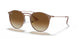 907151 - Light Brown - Clear Gradient Brown