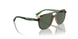 271871 - Brown - Dark Green