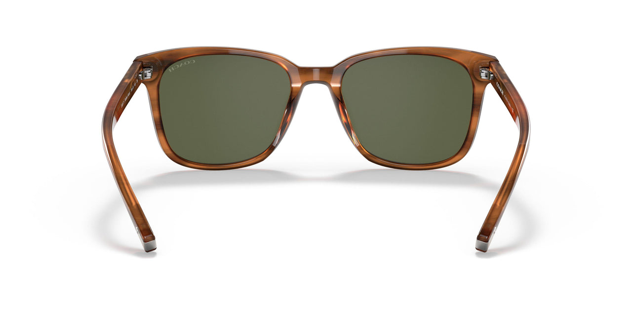 558171 - Light Brown - Dark Green Solid