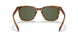 558171 - Light Brown - Dark Green Solid