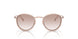 335413 - Pink - Clear Gradient Brown