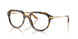 3446 - Brown