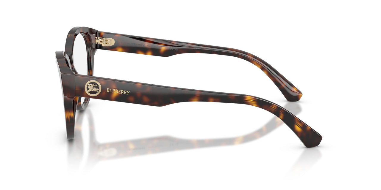 3002 - Brown