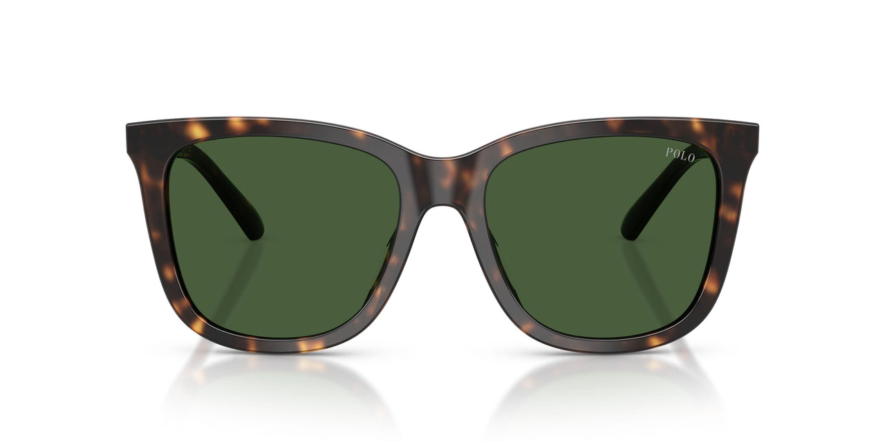 500371 - Tortoise - Bottle Green