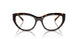 W656 - Brown