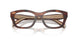 00K1O1 - Brown