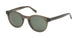 ABERCROMBIE & FITCH 00043 Sunglasses