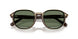 597782 - Brown - Green Solid