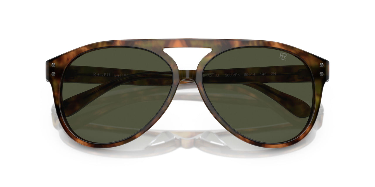 501731 - Tortoise - Green