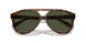 501731 - Tortoise - Green