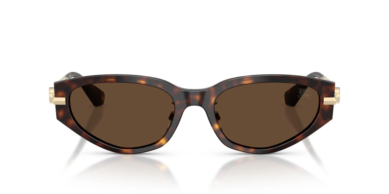 300273 - Brown - Dark Brown